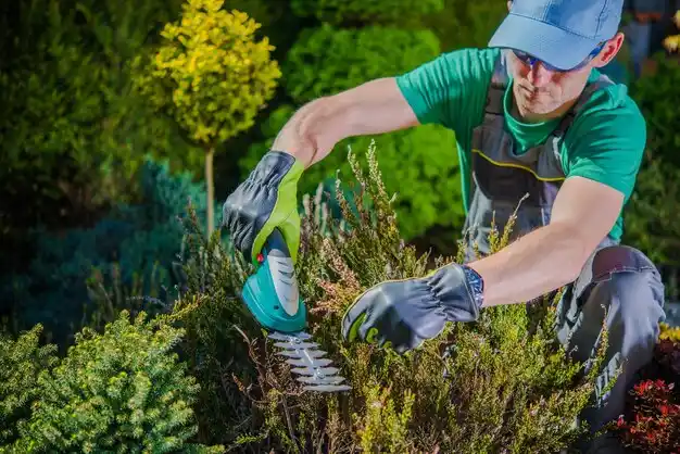 landscaping services Great Neck Plaza